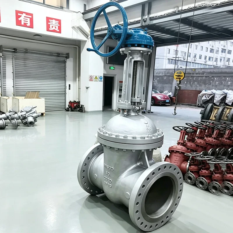 A Comprehensive Overview of API 600 Gate Valve Structural Features and Industry Applications